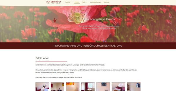 Website Showcase: Cornelia van den Hout | Brand Artery