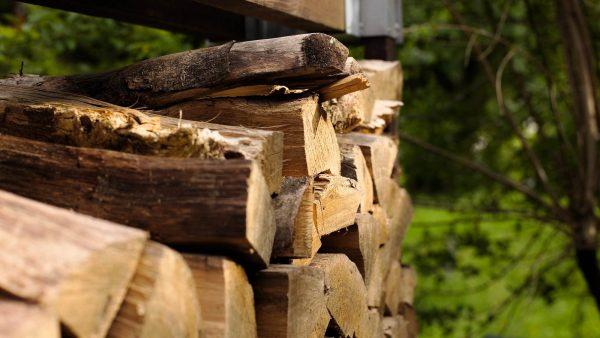 Holzscheite beim Naturfreundehaus Billtal: 9. Juni 2019